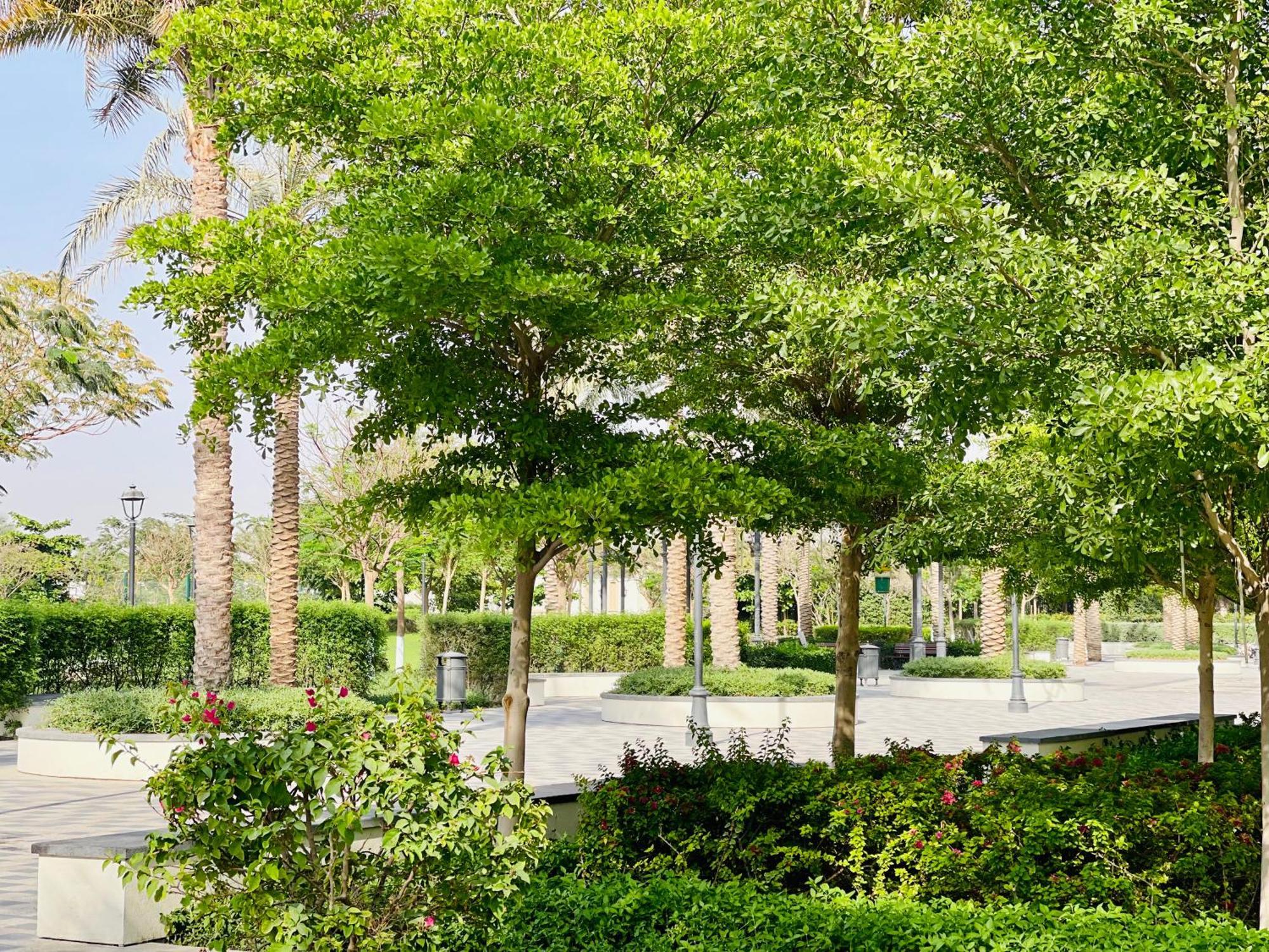 Goodwood Suites Homes Vacation دبي المظهر الخارجي الصورة